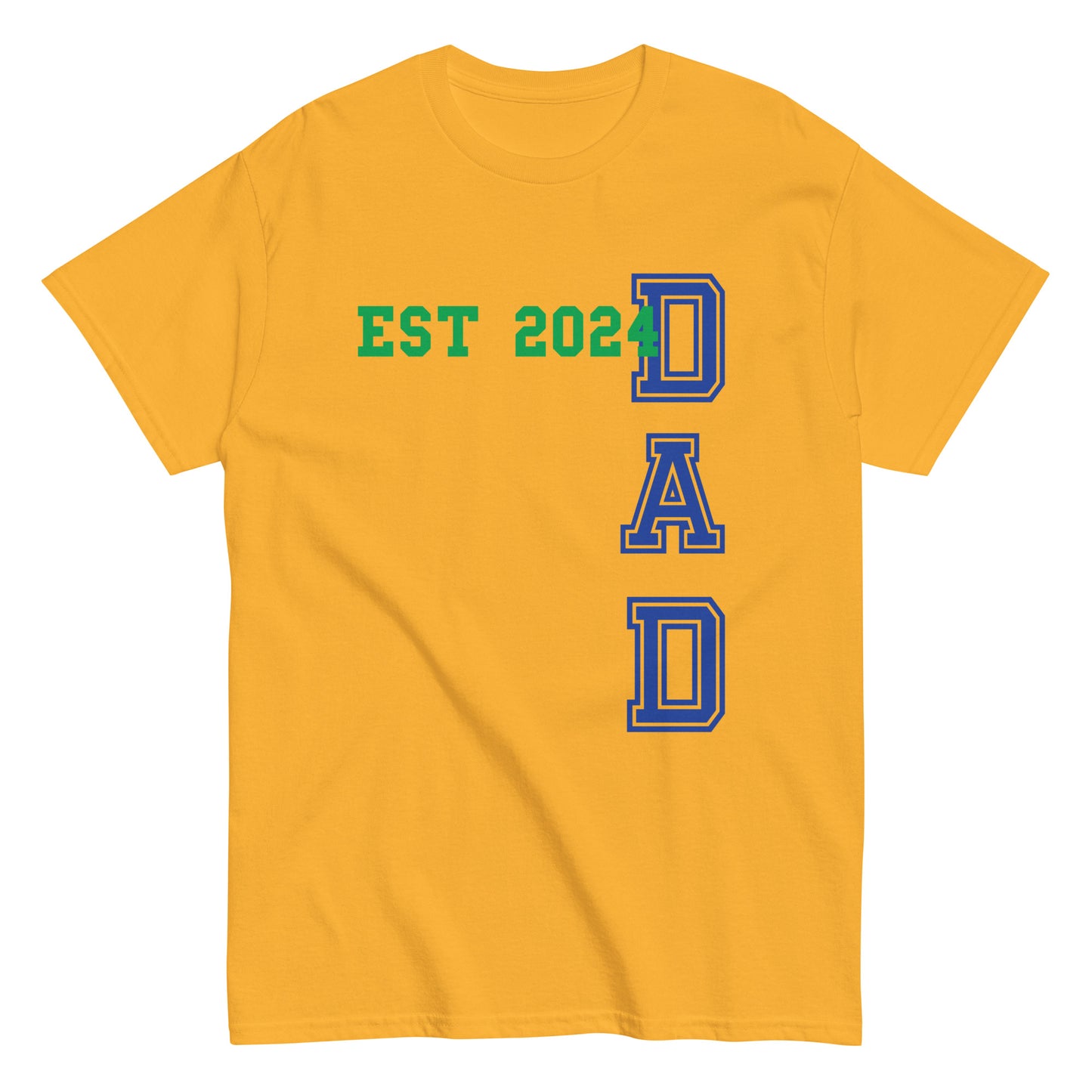 Funny Dad Est 2024 Cool T-shirt