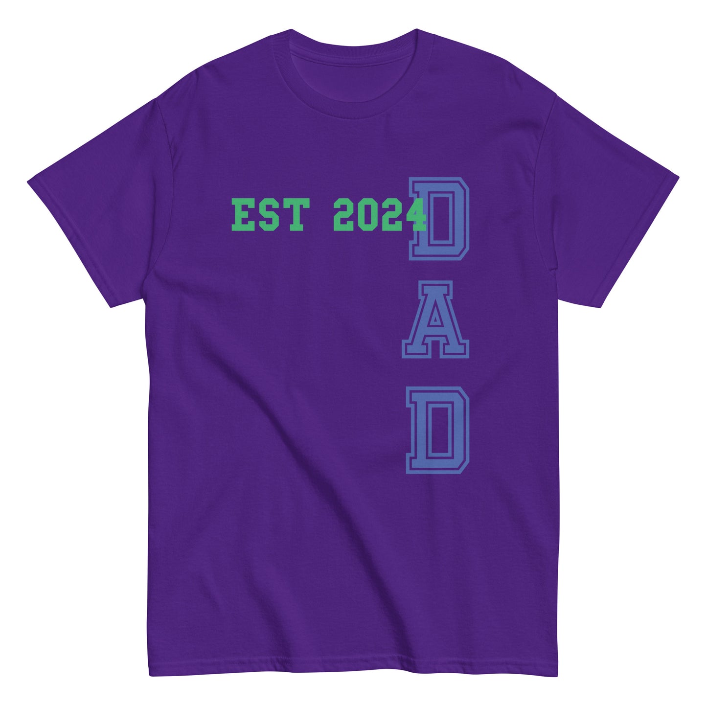 Funny Dad Est 2024 Cool T-shirt